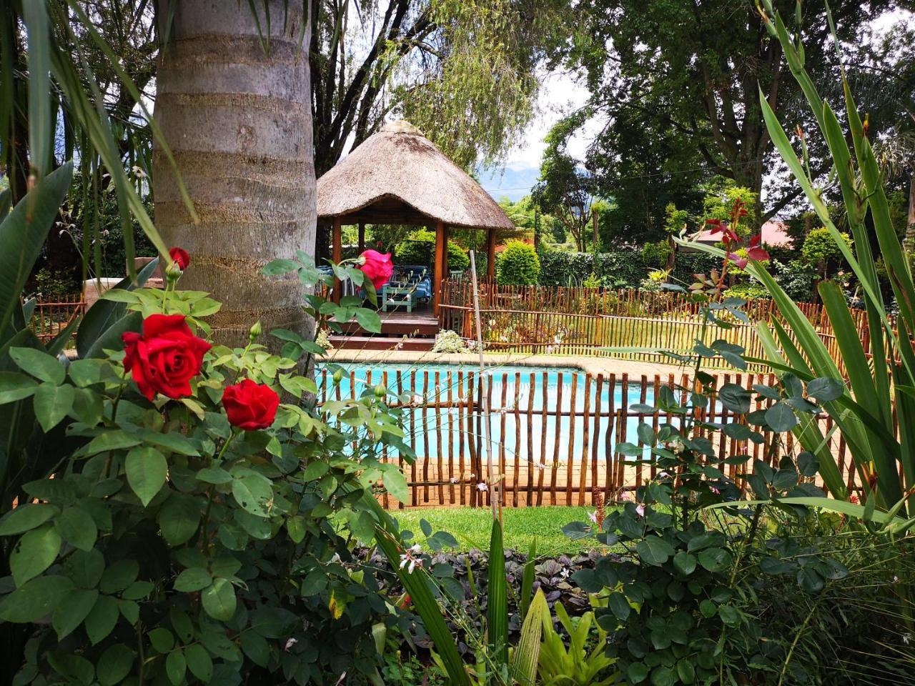 סאבי Dublin Guest House מראה חיצוני תמונה